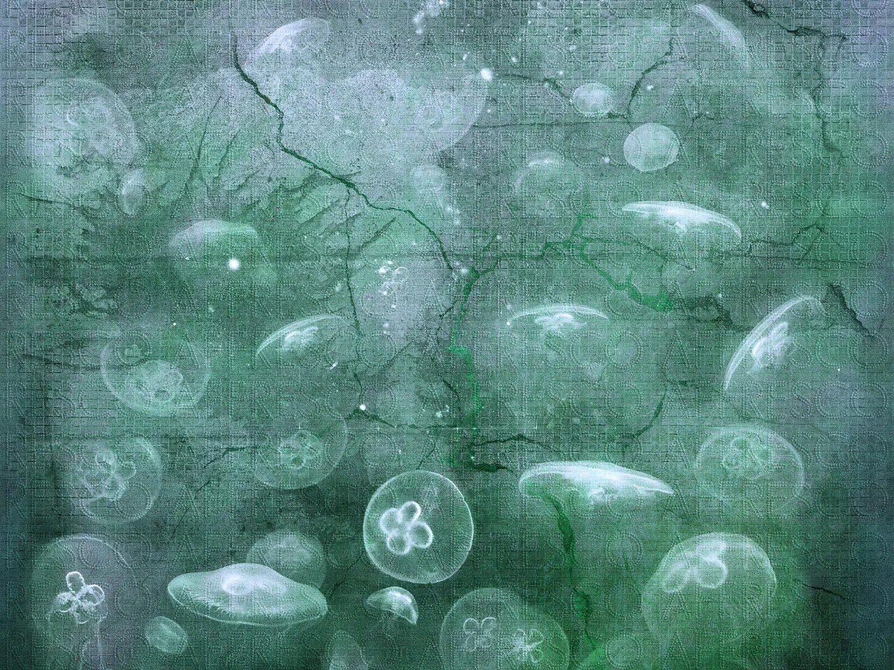 Фреска Affresco, коллекция New Art, арт. RE185 COL4 Россия