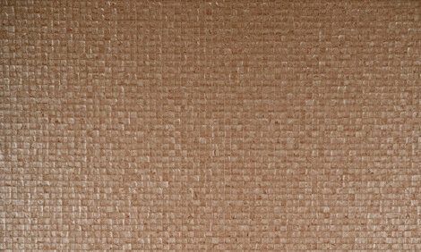 Бельгийские обои Arte, коллекция Monsoon, артикул 75109