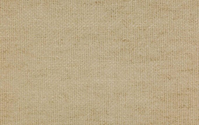 Английская ткань Colefax and Fowler, коллекция Cassian, артикул F4022/08