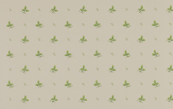Английские обои Colefax and Fowler, коллекция Small Designs, артикул 07406-06
