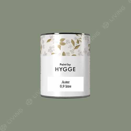 картинка Краска Hygge Aster цвет ALOE TIP HG03-046 от LIVING