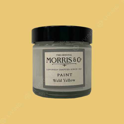 картинка Краска Morris & Co Chalky Matt цвет Weld Yellow от LIVING