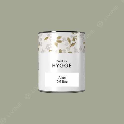 картинка Краска Hygge Aster цвет GREEN SPRING HG02-079 от LIVING