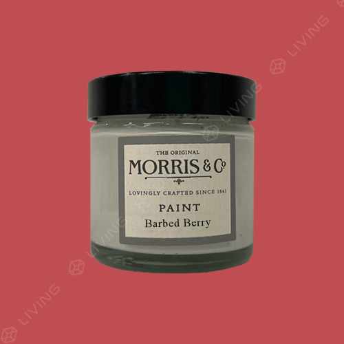 картинка Краска Morris & Co Chalky Matt цвет Barbed Berry от LIVING