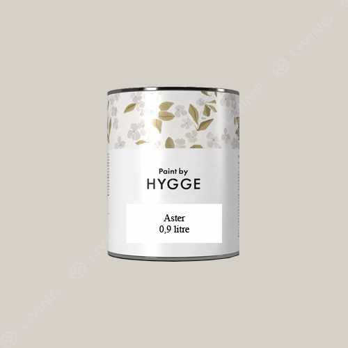 картинка Краска Hygge Aster цвет MARZIPAN WHITE HG03-014 от LIVING