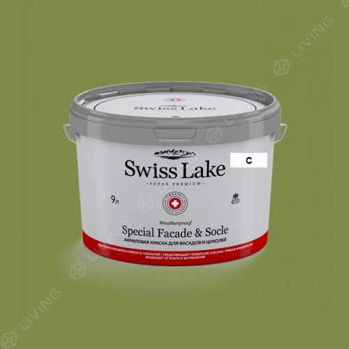 картинка Краска Swiss Lake Special Faсade & Socle цвет juniper №2539 от LIVING