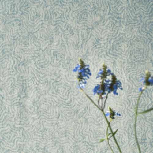 Обои Designers Guild, коллекция Foscari Fresco with paint Litho, арт. PDG1092-03, Великобритания