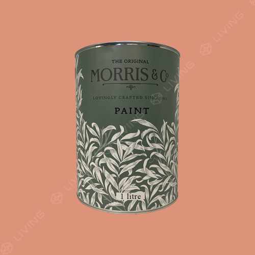 картинка Краска Morris & Co Eggshell цвет Chrysanthemum от LIVING