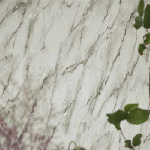 Обои Designers Guild, коллекция Foscari Fresco with paint Litho, арт. PDG1089-02, Великобритания