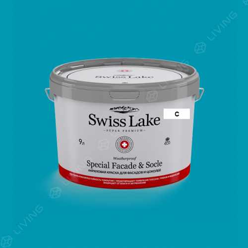 картинка Краска Swiss Lake Special Faсade & Socle цвет SORCERER №2067 от LIVING