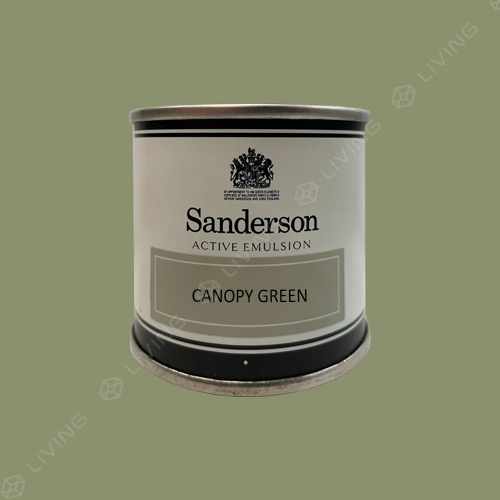 картинка Краска Sanderson Active Emulsion цвет CANOPY GREEN от LIVING