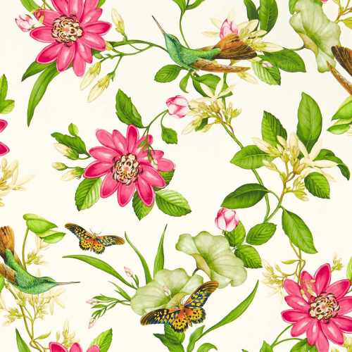 картинка Обои Clarke & Clarke, коллекция Botanical Wonders Wallpaper, арт. W0132/02, Великобритания от LIVING