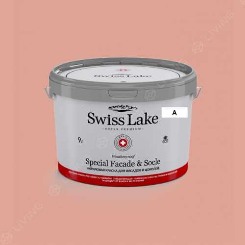картинка Краска Swiss Lake Special Faсade & Socle цвет after the crush №1464 от LIVING