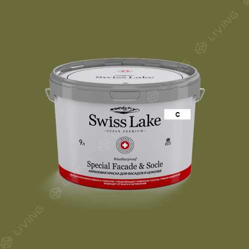 картинка Краска Swiss Lake Special Faсade & Socle цвет Promised Land №2710 от LIVING