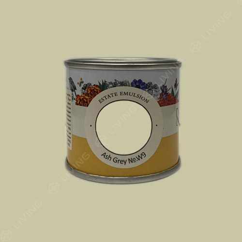 картинка Краска Farrow&Ball Estate Emulsion цвет Ash Grey №W9 от LIVING