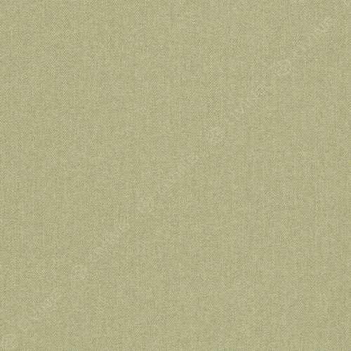 картинка Ткань Clarke & Clarke коллекция Burlington, арт. F1570/08 от LIVING