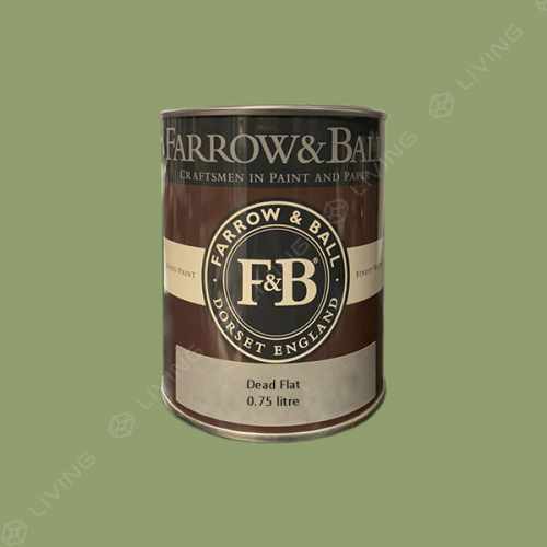 картинка Краска Farrow&Ball Dead Flat цвет Yeabridge Green №287 от LIVING