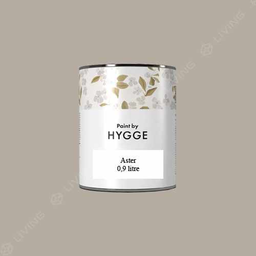 картинка Краска Hygge Aster цвет Unpeeled Ginger HG05-028 от LIVING