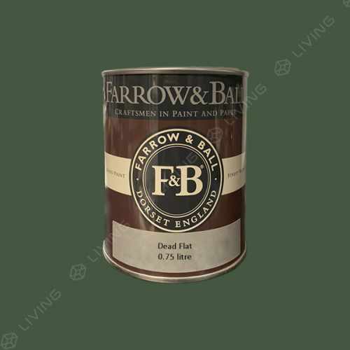 картинка Краска Farrow&Ball Dead Flat цвет Duck Green №W55 от LIVING