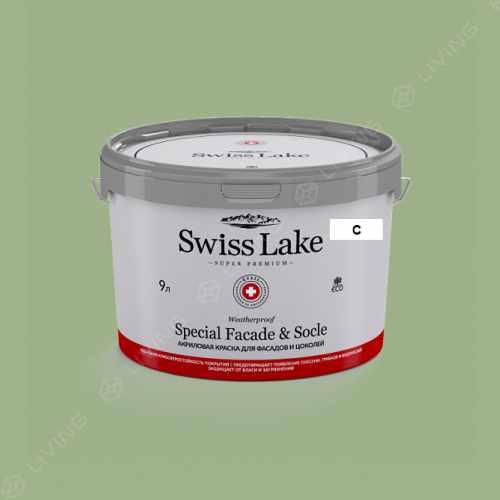 картинка Краска Swiss Lake Special Faсade & Socle цвет Spumoni №2702 от LIVING
