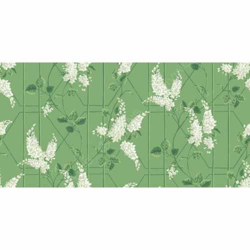 картинка Флизелиновые обои Cole & Son, коллекция Botanical Botanica, арт. 115/5016, Великобритания от LIVING