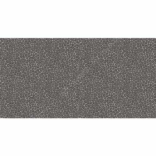 Флизелиновые обои Cole & Son, коллекция The Ardmore Collection, арт. 109/6031, Великобритания