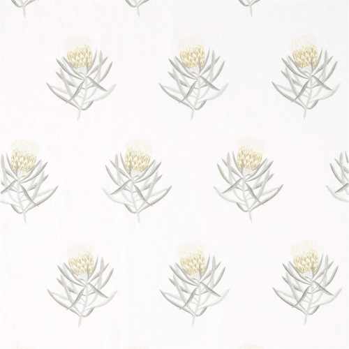 Ткань Sanderson коллекция Art Of The Garden Fabrics, арт. DART236355