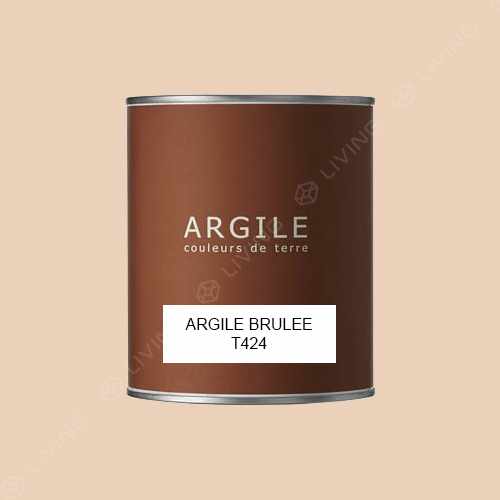 картинка Краска Argile Mat Veloute цвет ARGILE BRULEE T424 от LIVING