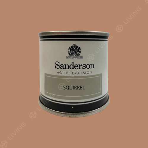 картинка Краска Sanderson Active Emulsion цвет SQUIRREL от LIVING