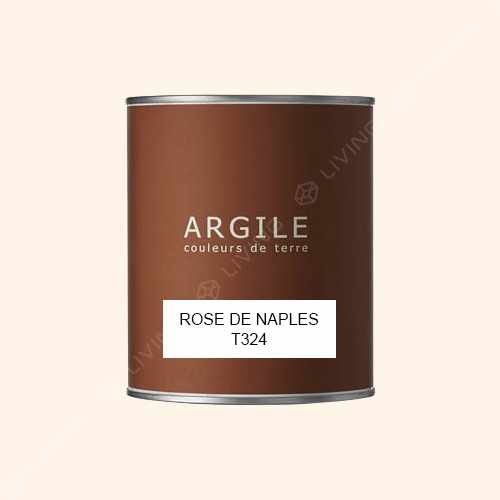 картинка Краска Argile Mat Veloute цвет ROSE DE NAPLES T324 от LIVING