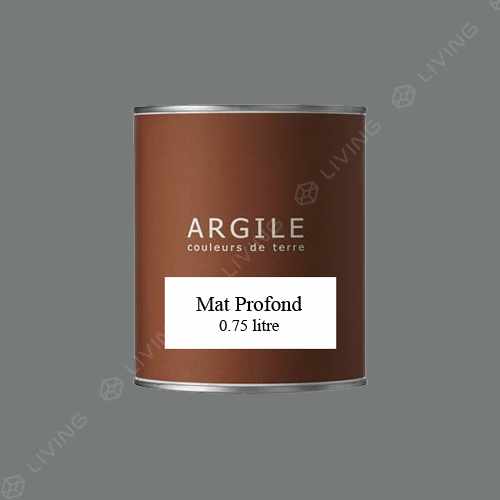 картинка Краска Argile Mat Profond цвет GRIS ARDOISE T841 от LIVING