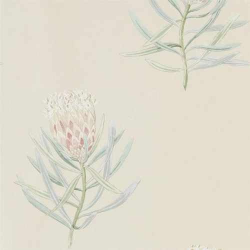 Флизелиновые обои Sanderson, коллекция Art of the Garden, арт. 216329, Великобритания