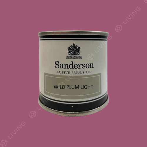 картинка Краска Sanderson Active Emulsion цвет WILD PLUM LIGHT от LIVING