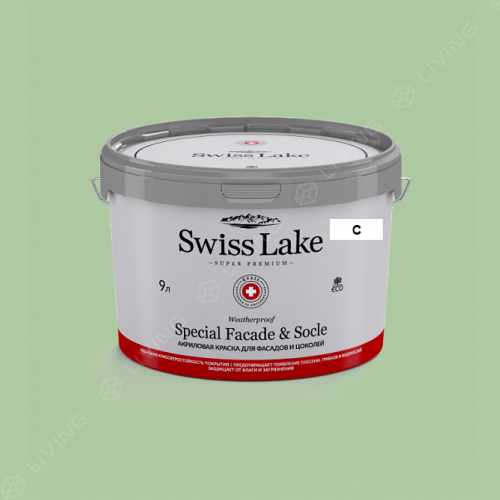 картинка Краска Swiss Lake Special Faсade & Socle цвет ALOE vera №2487 от LIVING