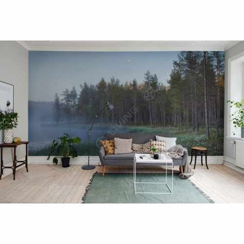 картинка Обои Rebel Walls, коллекция No 13 Scandinavia, арт. R16421, Швеция от LIVING