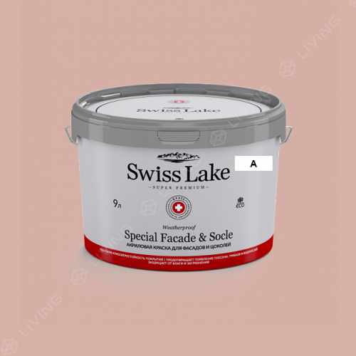 картинка Краска Swiss Lake Special Faсade & Socle цвет skinny lady №1607 от LIVING