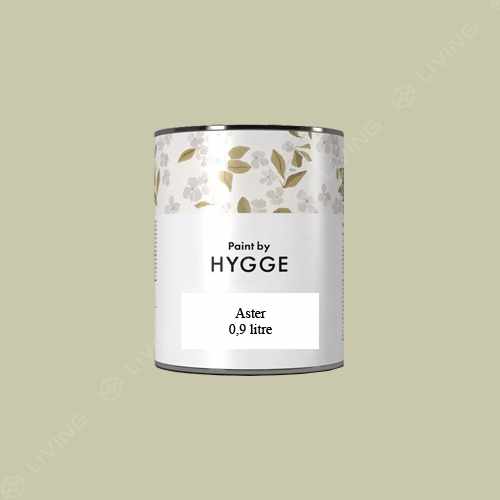 картинка Краска Hygge Aster цвет GARLIC SUEDE HG02-066 от LIVING