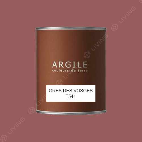 картинка Краска Argile Mat Veloute цвет GRES DES VOSGES T541 от LIVING