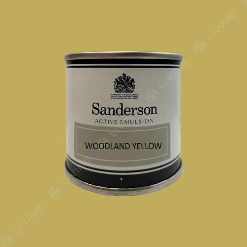 картинка Краска Sanderson Active Emulsion цвет WOODLAND YELLOW от LIVING