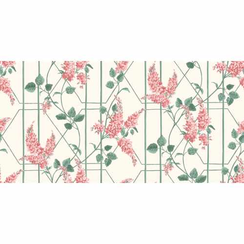 картинка Флизелиновые обои Cole & Son, коллекция Botanical Botanica, арт. 115/5012, Великобритания от LIVING