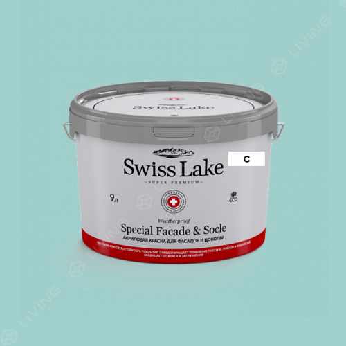 картинка Краска Swiss Lake Special Faсade & Socle цвет Electro Chill №2387 от LIVING