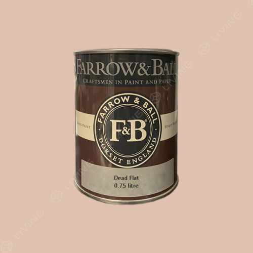 картинка Краска Farrow&Ball Dead Flat цвет Setting Plaster №231 от LIVING