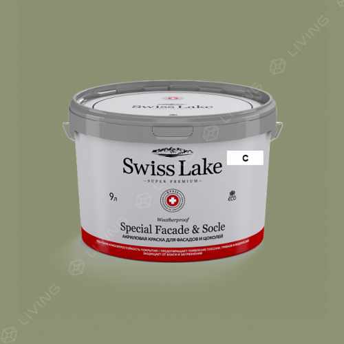 картинка Краска Swiss Lake Special Faсade & Socle цвет Absinthe Dreams №2688 от LIVING