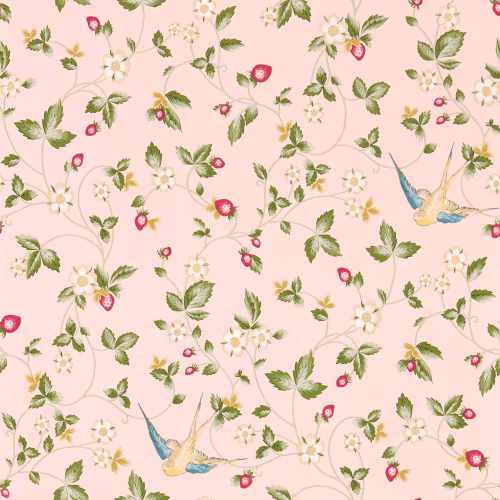 картинка Обои Clarke & Clarke, коллекция Botanical Wonders Wallpaper, арт. W0135/01, Великобритания от LIVING