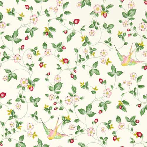 картинка Обои Clarke & Clarke, коллекция Botanical Wonders Wallpaper, арт. W0135/03, Великобритания от LIVING