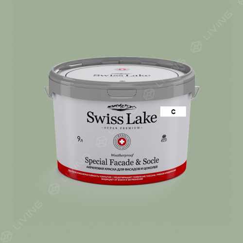 картинка Краска Swiss Lake Special Faсade & Socle цвет silt green №2637 от LIVING