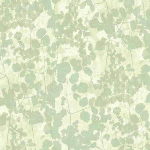 Флизелиновые обои York, коллекция Candiсe Olson - Botanical Dreams, арт. NA0517, США