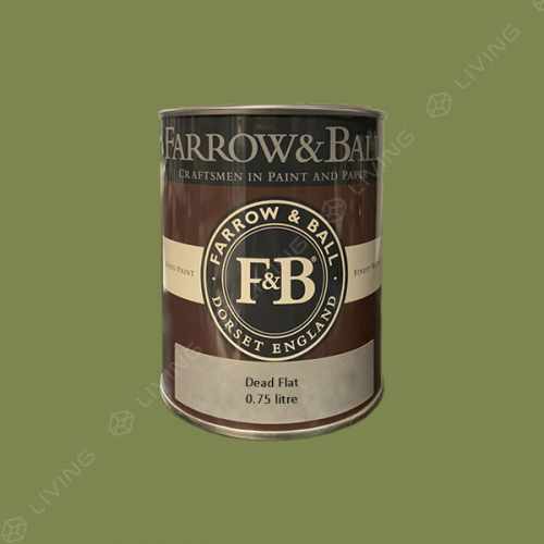 картинка Краска Farrow&Ball Dead Flat цвет Sap Green №W56 от LIVING