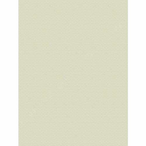 Ткань Trend, коллекция Window By Color (3 Books) Ivory / Harvest, арт. 04679 Ivory, Китай