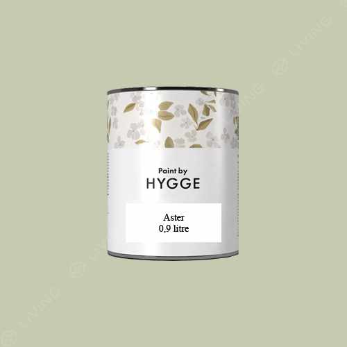 картинка Краска Hygge Aster цвет Guacamole HG07-030 от LIVING